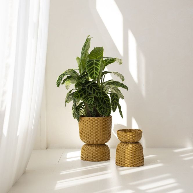 Hovedbilde Handed By Planter diabolo kurv ochre Gul liten